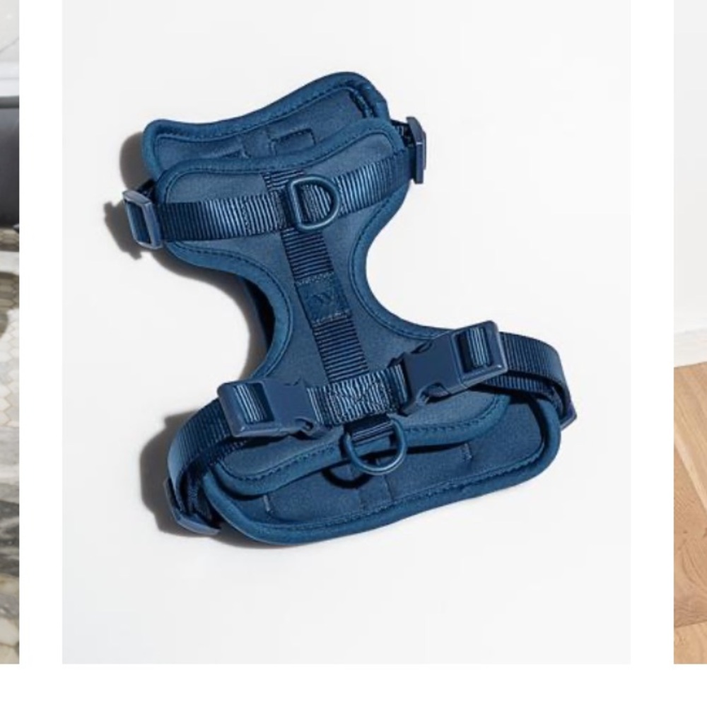 Wild One dog harness - small